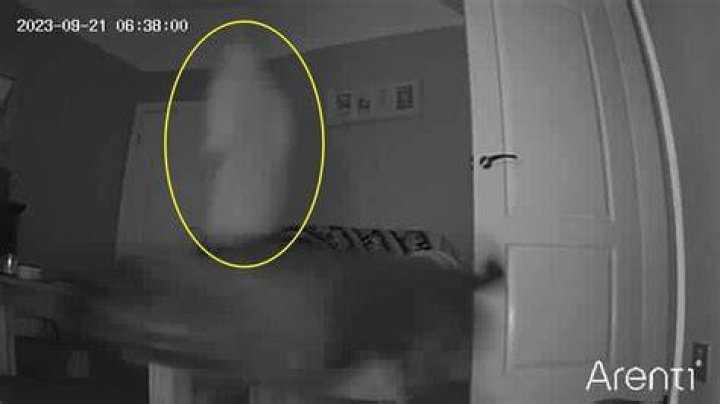 Caught on camera: The video was taken by two men who were driving by the scene in a truck