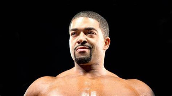 David Otunga joins WWE Studios&rsquo; thriller, 'The Hive' WWE