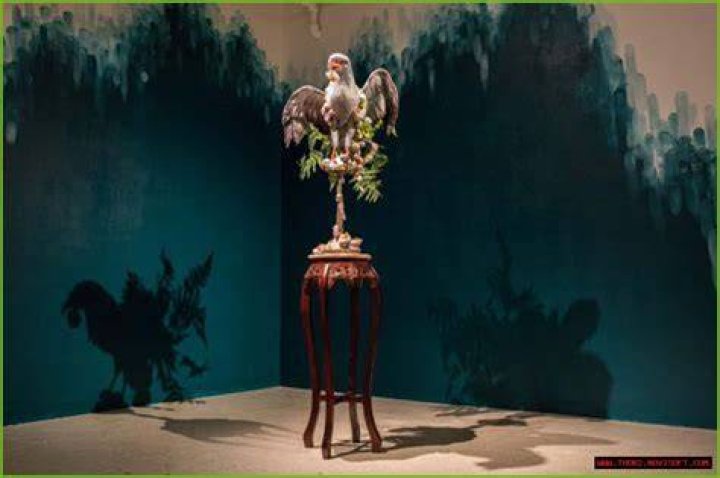 Discoveries And Insights From Charlotte Schweiger