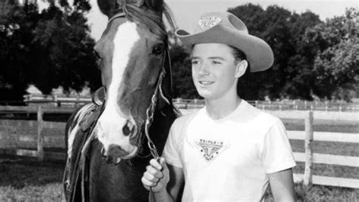 Disney Legend Tim Considine Dead at 81 A Walk With The Mouse
