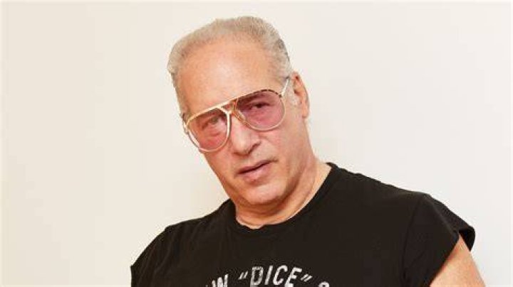 Does Society Need Andrew Dice Clay? The New York Times