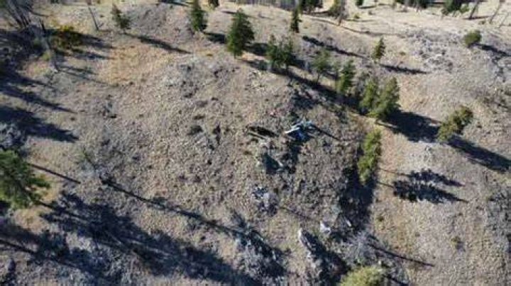 Dooley Vanyo Plane Crash Wellknown pilot died in tragic Washington