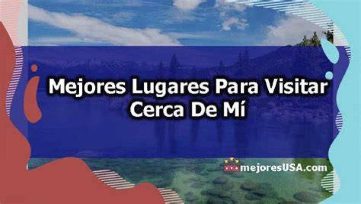 Floristerías Cerca de mi Ubicación ¿Cuáles Son Las Mejoras Formas de