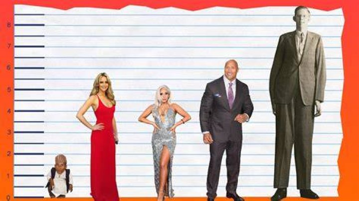 How Tall Is Jennifer Lawrence? Hood MWR
