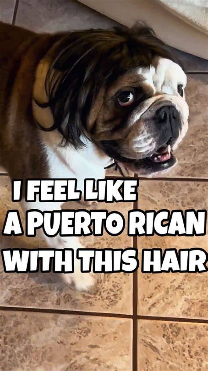 I feel like Puerto Rican in this hair 😂😂 dojacat asmr TheLastOfUs