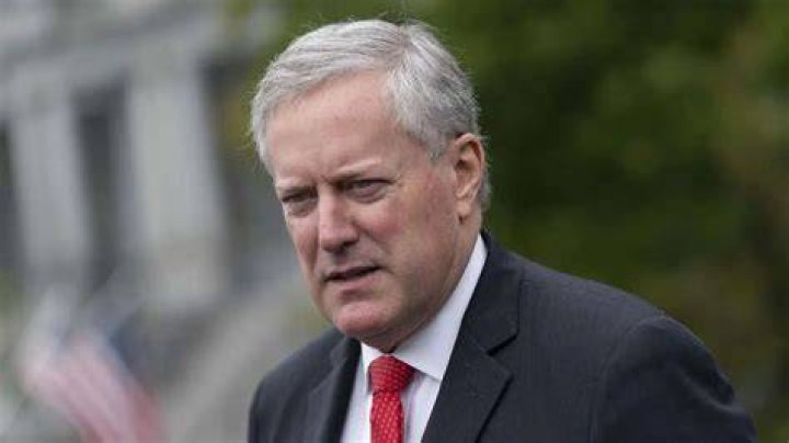 Mark Meadows Biography