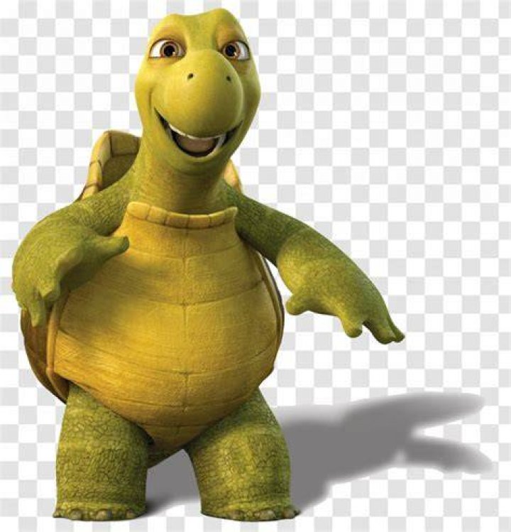 over the hedge turtle meme Cafeojuara