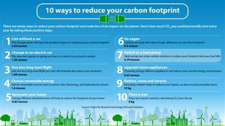 Reduce Your Carbon Footprint While Supporting Sustainable Brands