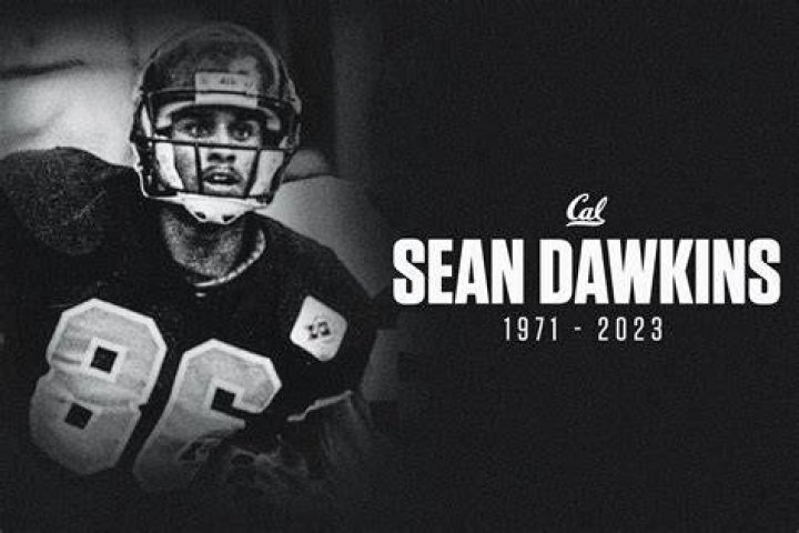 Remembering Sean Dawkins A Tribute to His Life and Legacy SoapAsk