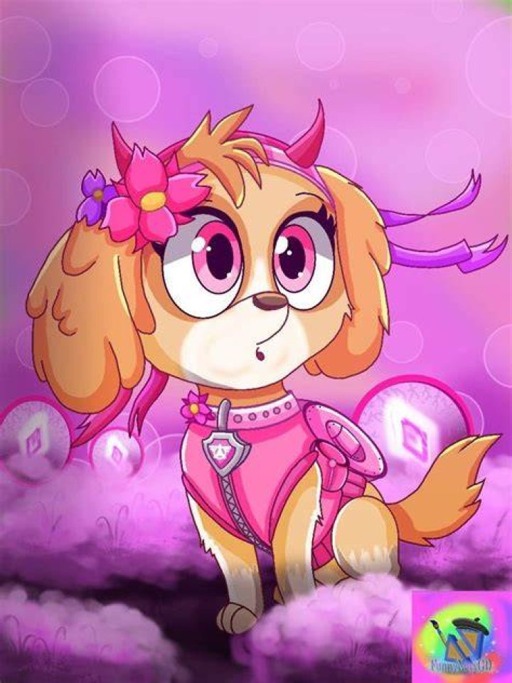 Skye Skye PAW Patrol Fan Art (40170047) Fanpop Page 77
