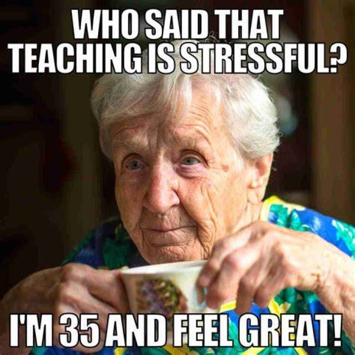 TeacherGoalsMemes Teacher memes, Teacher quotes funny, Teacher humor