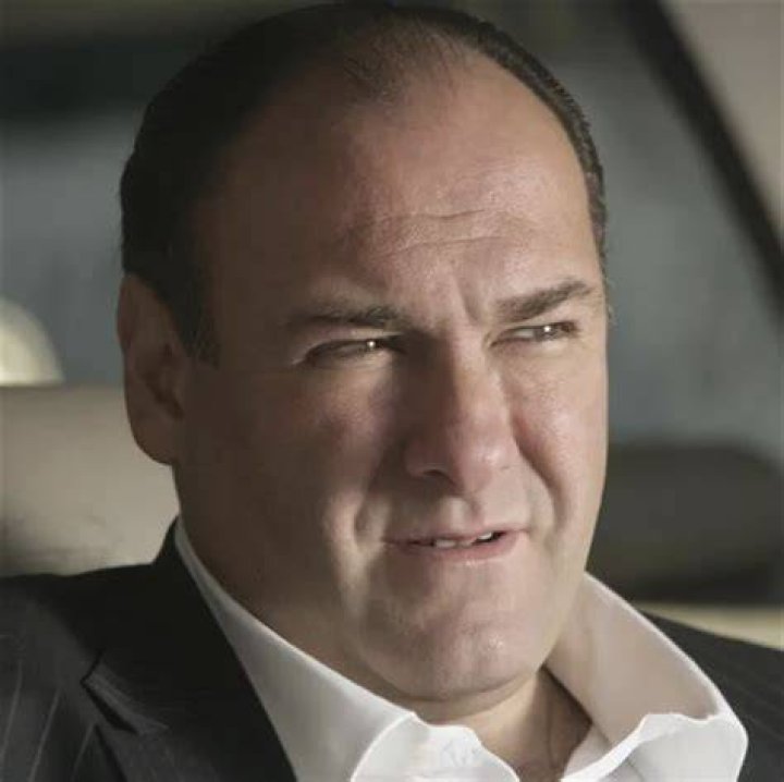 Tony Soprano The Sopranos Wiki FANDOM powered by Wikia