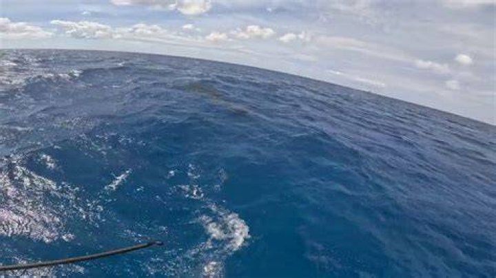 Tragic Loss! Nick Hokema Death Tragic End to the Search, What Happened