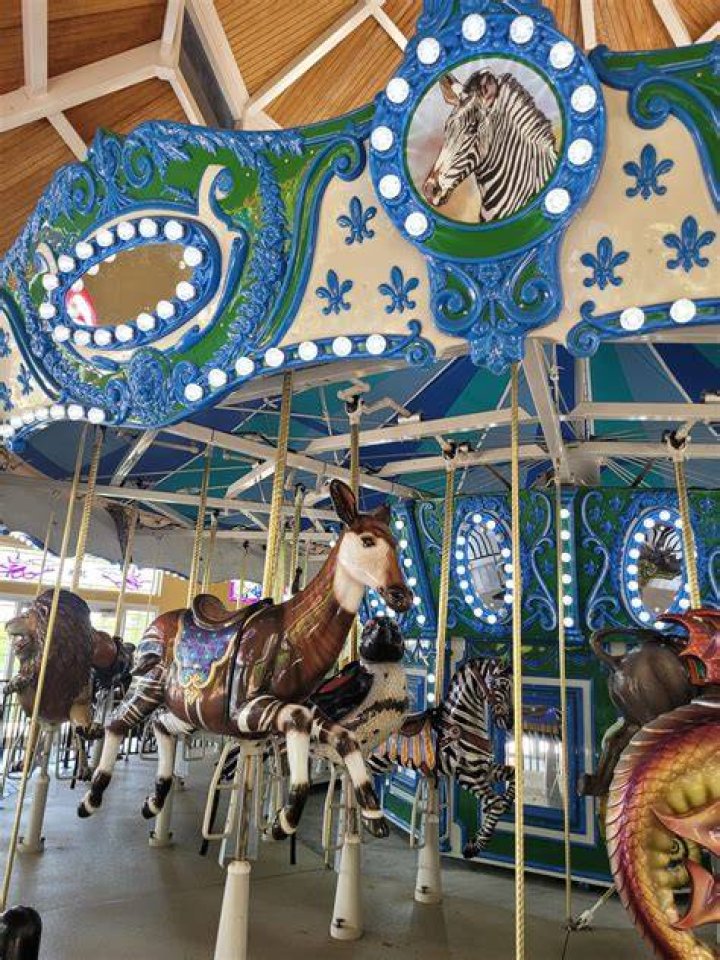 Unlock The Magic Of Turtle Back Zoo Carousel Parties: Discoveries And Delights Await!