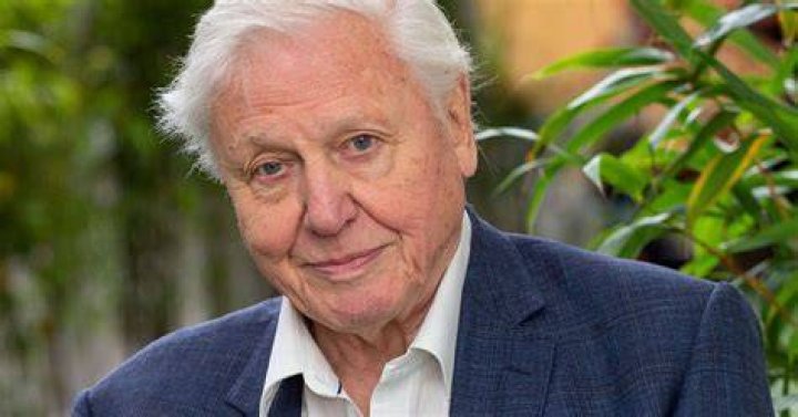 Unveiling David Attenborough's Net Worth: Discoveries And Insights