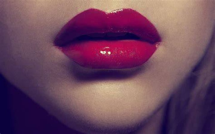 Wallpaper ID 568374 / indoors, mouths, closeup, no people, still life