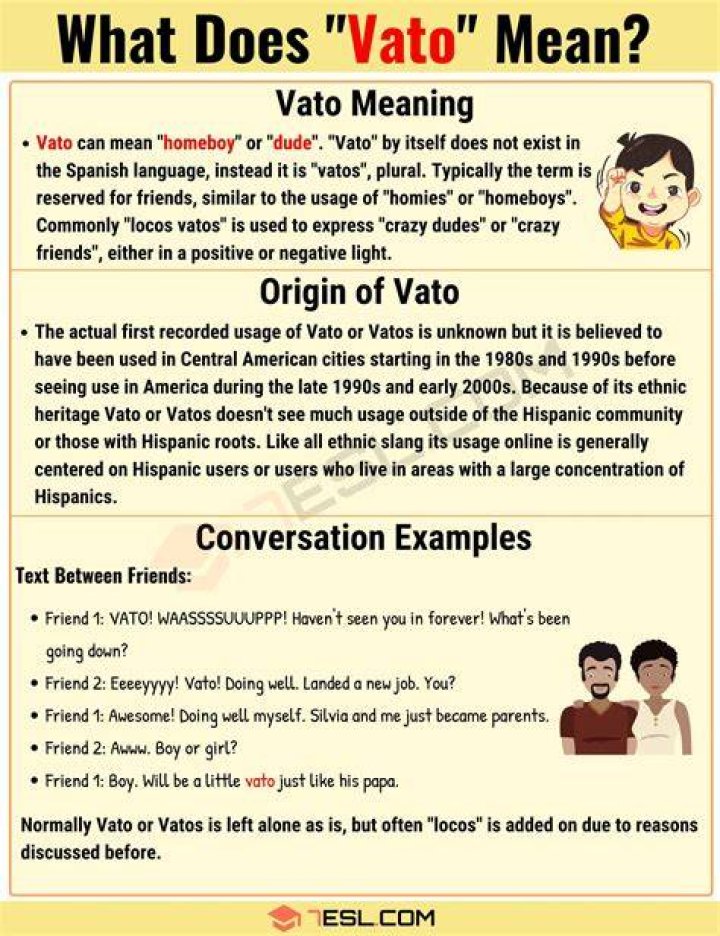 What Does Vato Mean? Meaning, Uses and More FluentSlang