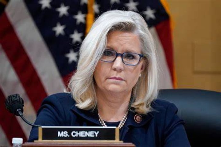 What is Liz Cheney's net worth?