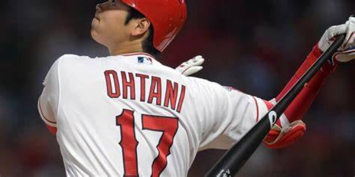 Who Is Ryuta Otani? Facts About Shohei Ohtani&rsquo;s Brother